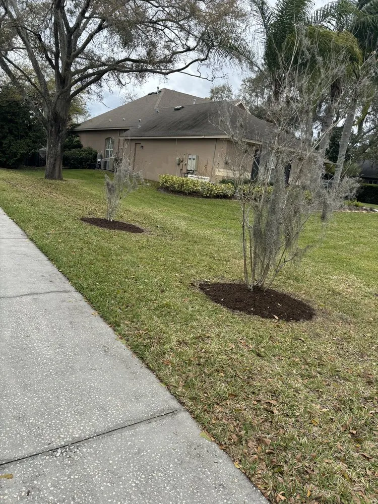 Top-rated landscaping services for homes in Zephyrhills, FL by Triple A’s Cutz