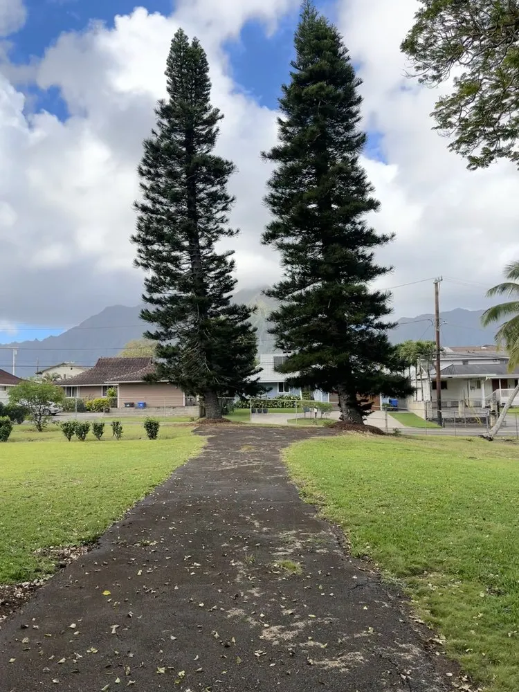 Professional landscaping services in Honolulu, HI by Triple