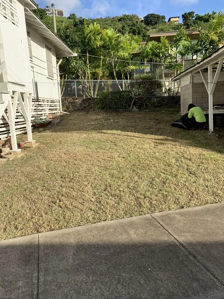 Reliable landscape installation for year-round maintenance across Honolulu, HI - Triple