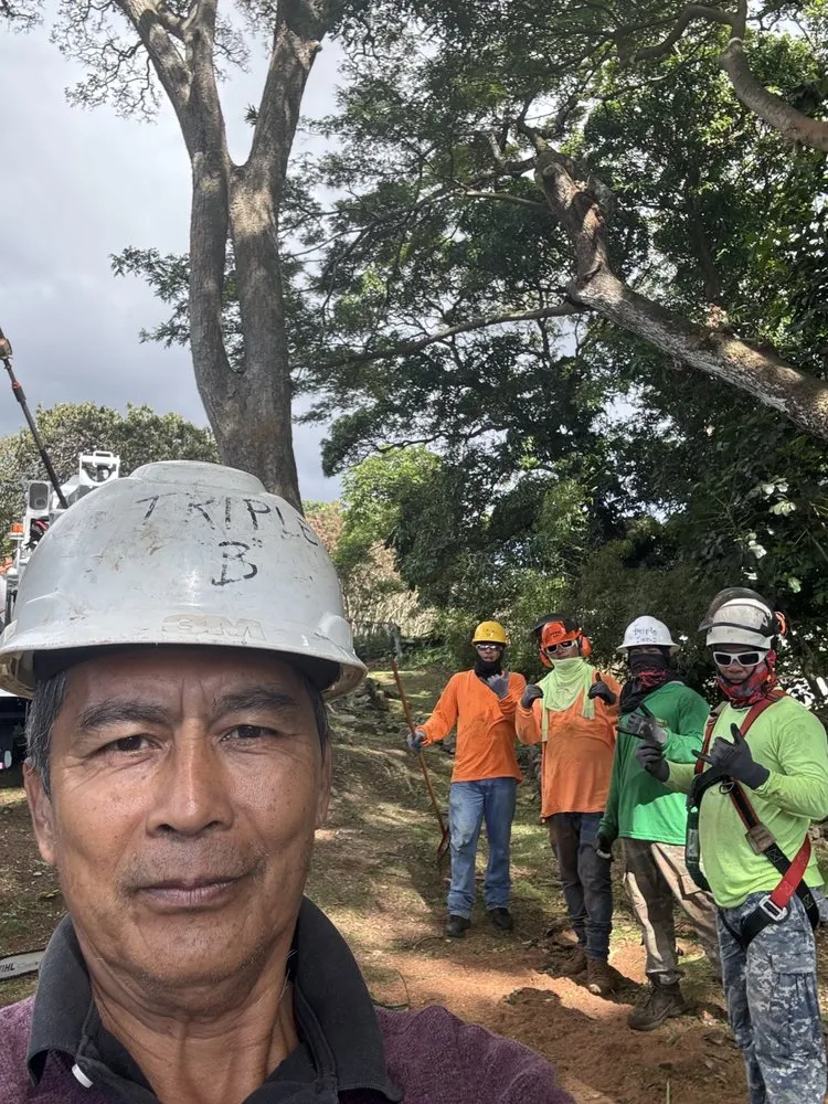 Affordable lawn care service in Honolulu, HI by Triple