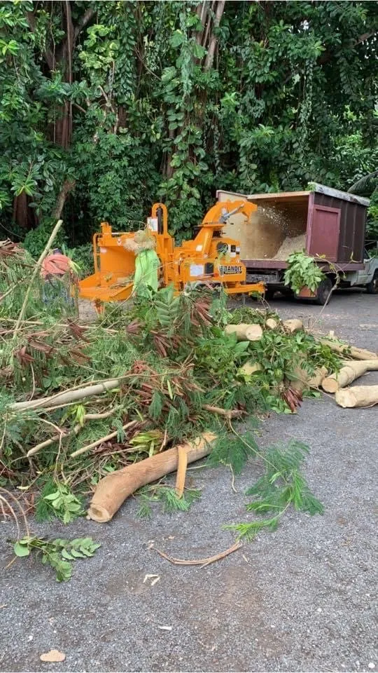 Trusted garden landscaping for outdoor upgrades in Honolulu, HI by Triple