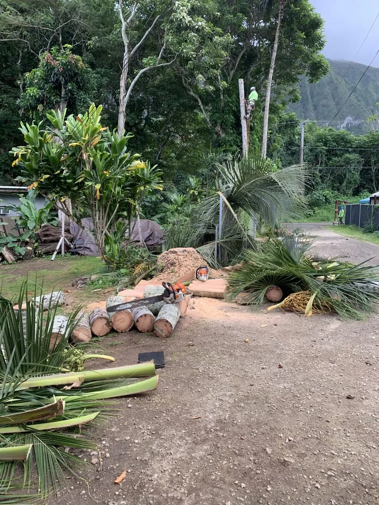 Professional landscaping services in Honolulu, HI - Triple