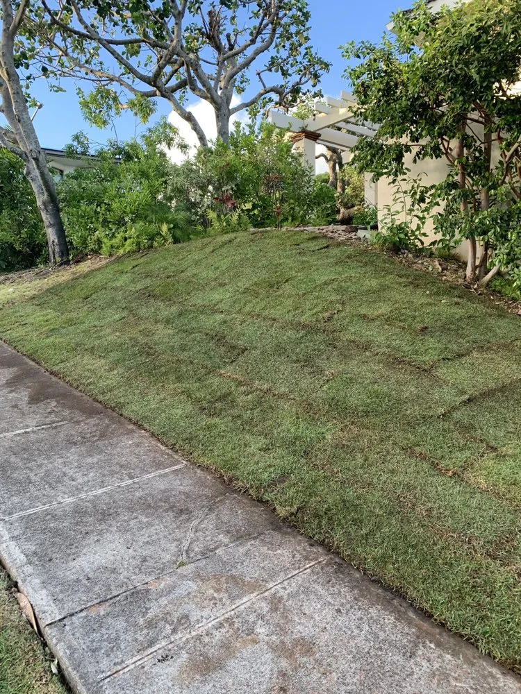 Affordable landscape installation experts serving Honolulu, HI - Triple