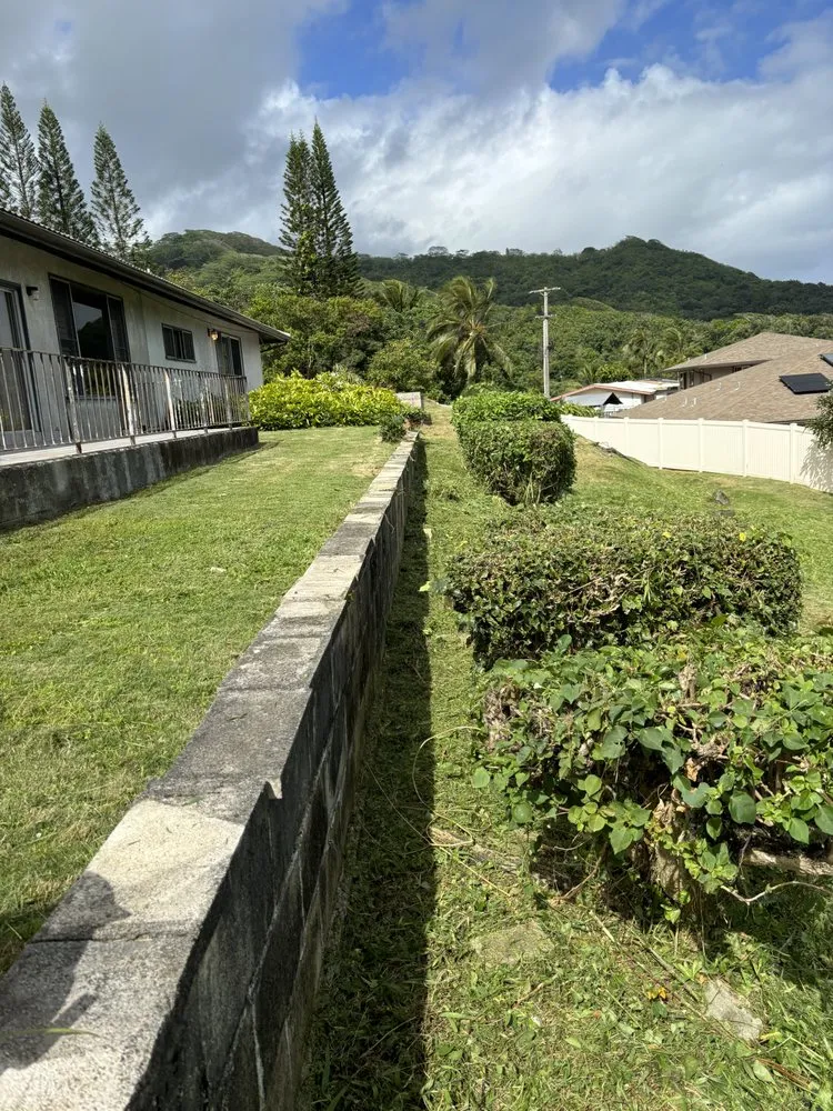 Reliable residential landscaping for beautiful yards across Honolulu, HI - Triple