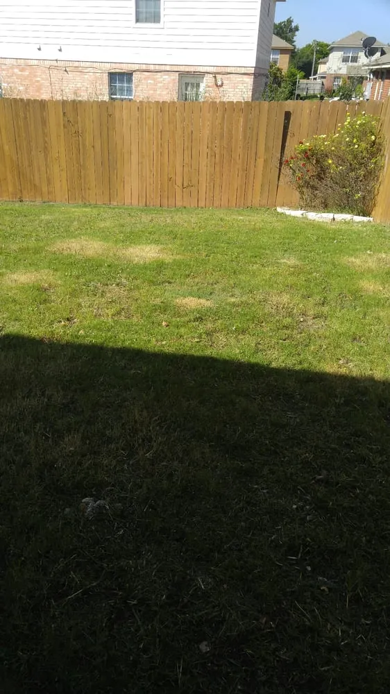 Trusted yard maintenance experts serving Copperas Cove, TX - Triple B Lawncare and Landscaping