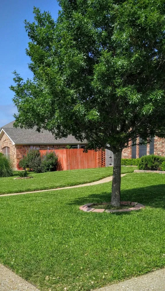 Professional landscape design near you in Copperas Cove, TX by Triple B Lawncare and Landscaping