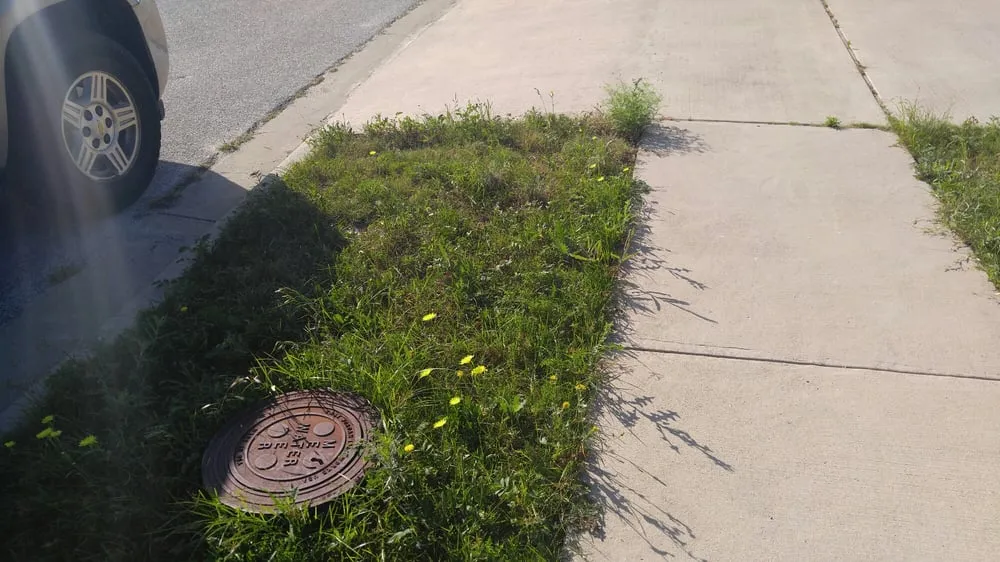 Trusted residential landscaping experts serving Copperas Cove, TX - Triple B Lawncare and Landscaping