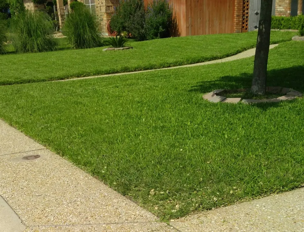 Professional lawn mowing service in Copperas Cove, TX by Triple B Lawncare and Landscaping