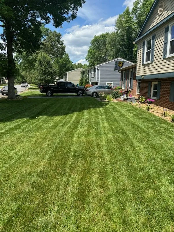 Trusted yard maintenance experts serving Richmond, VA - Triple C Lawn Care Specialist