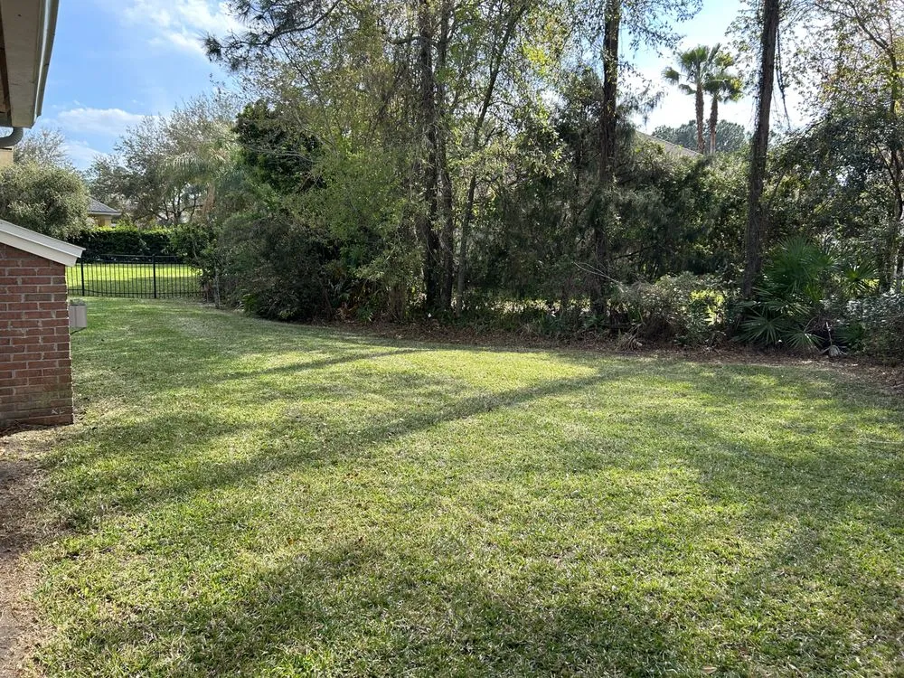 Expert landscape design in Orange Park, FL - Triple C Lawn N More