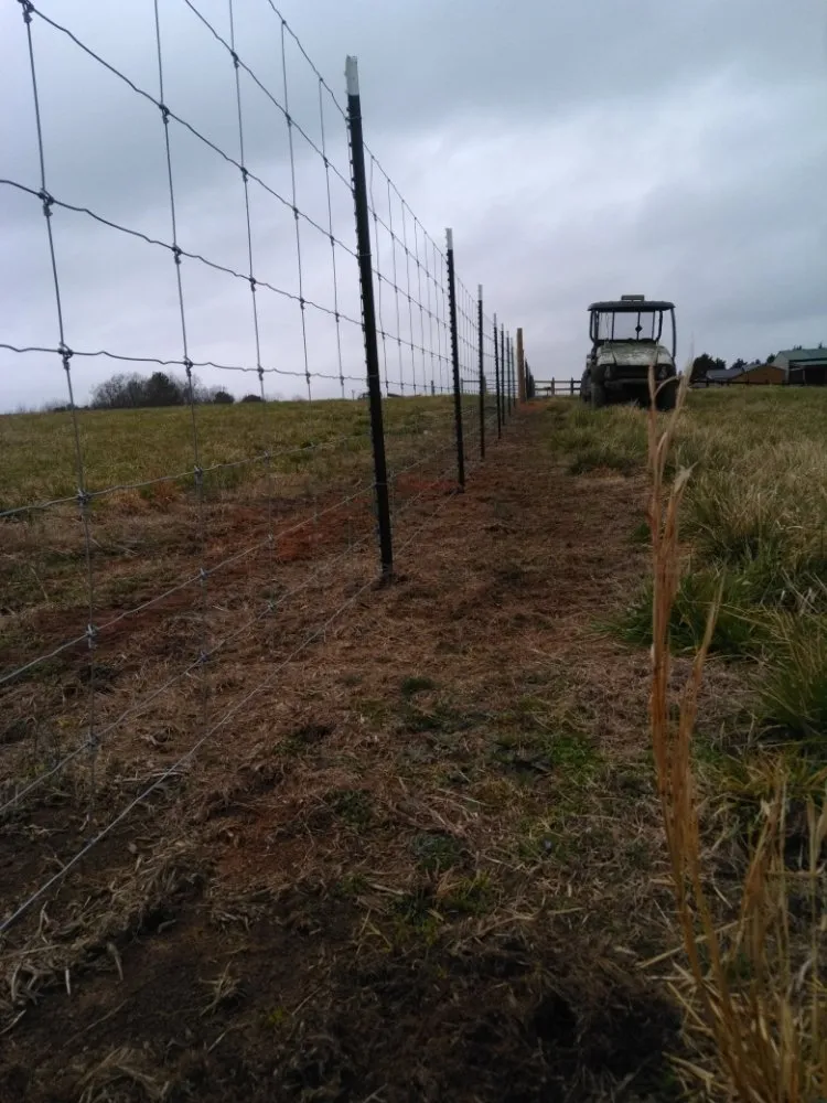 Top-rated outdoor landscaping experts serving Abbeville, SC - Triple Creek Land Management