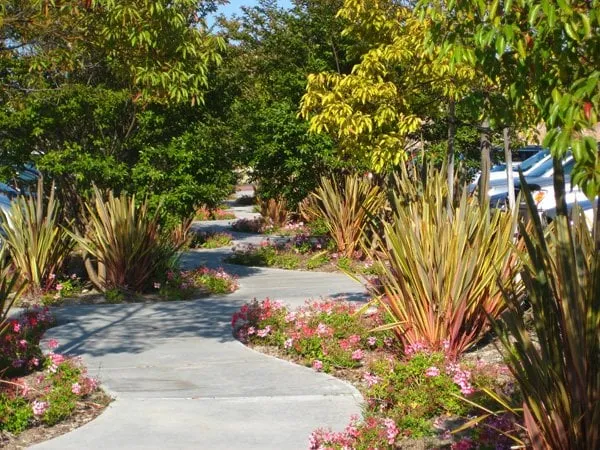 Expert outdoor landscaping in Fountain Valley, CA by Triple Crown Landscape Co