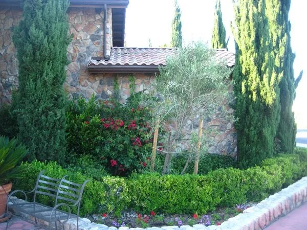 Affordable landscaping services experts serving Fountain Valley, CA - Triple Crown Landscape Co