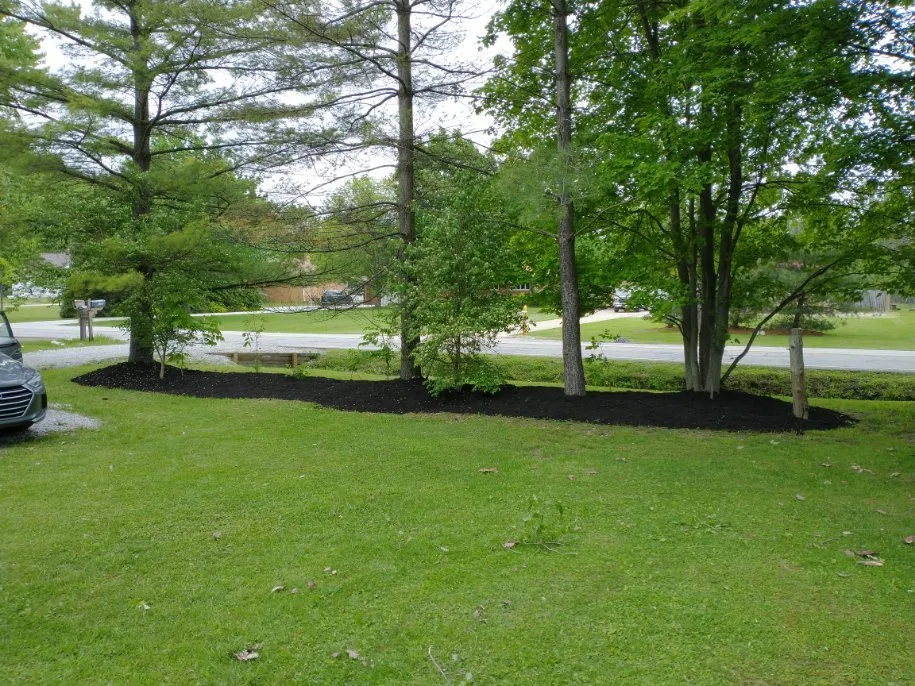 Affordable yard cleanup service for outdoor upgrades in Cleveland, OH by Triple Crown Landscaping