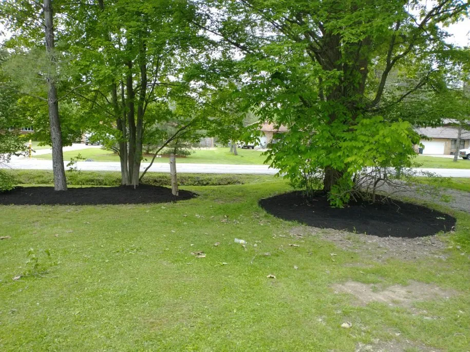 Expert yard maintenance near you across Cleveland, OH - Triple Crown Landscaping