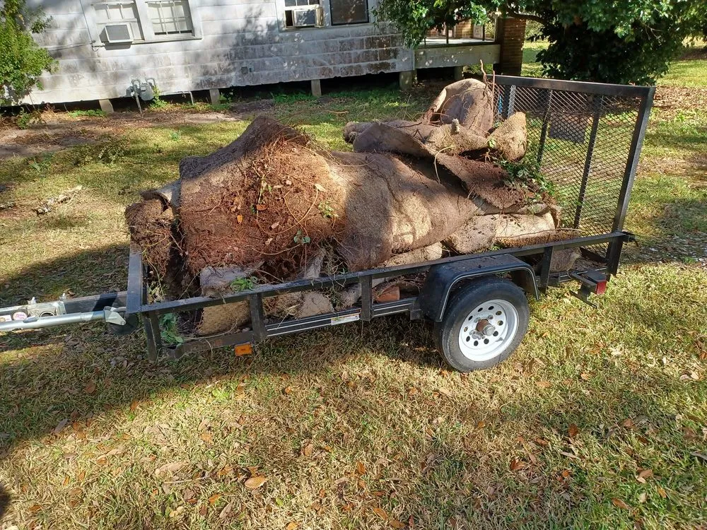 Affordable lawn care service for beautiful yards across Ocean Springs, MS - Triple C's Lawn Care Services