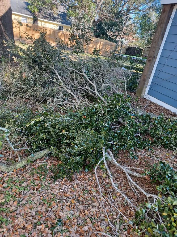 Trusted yard cleanup service for year-round maintenance across Ocean Springs, MS - Triple C's Lawn Care Services