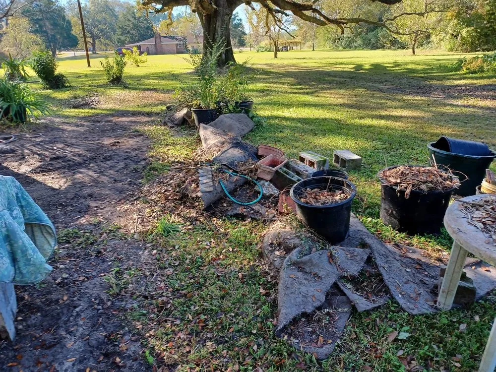 Expert yard cleanup service in Ocean Springs, MS by Triple C's Lawn Care Services
