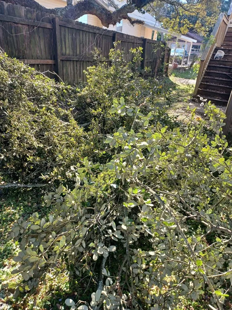 Expert yard cleanup service for year-round maintenance in Ocean Springs, MS by Triple C's Lawn Care Services