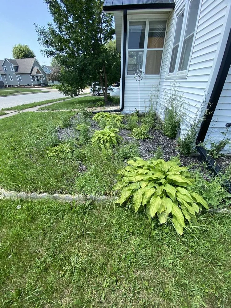 Custom landscaping services in Lewiston, MN - Triple Cut Cousins