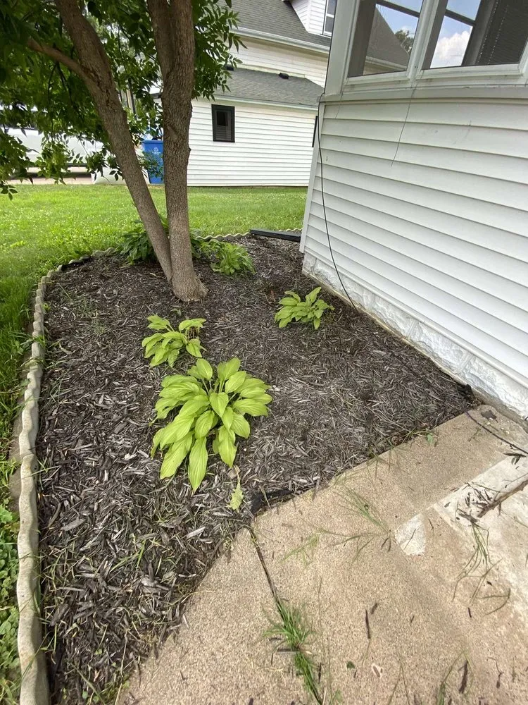 Expert lawn mowing service experts serving Lewiston, MN - Triple Cut Cousins