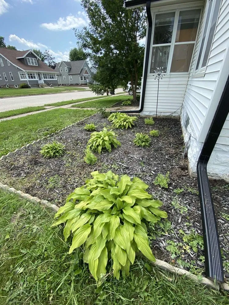 Affordable landscape installation for outdoor upgrades across Lewiston, MN - Triple Cut Cousins
