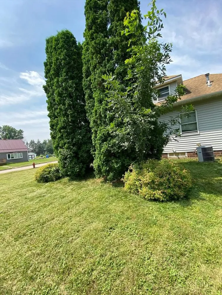 Top-rated landscape design in Lewiston, MN - Triple Cut Cousins