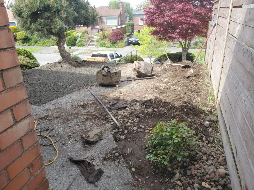 Top-rated yard cleanup service near you in Kent, WA by Triple D Landscaping