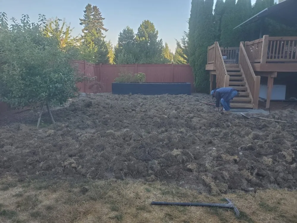 Custom yard cleanup service near you in Kent, WA by Triple D Landscaping