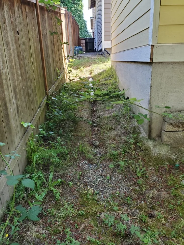 Reliable yard maintenance in Kent, WA by Triple D Landscaping