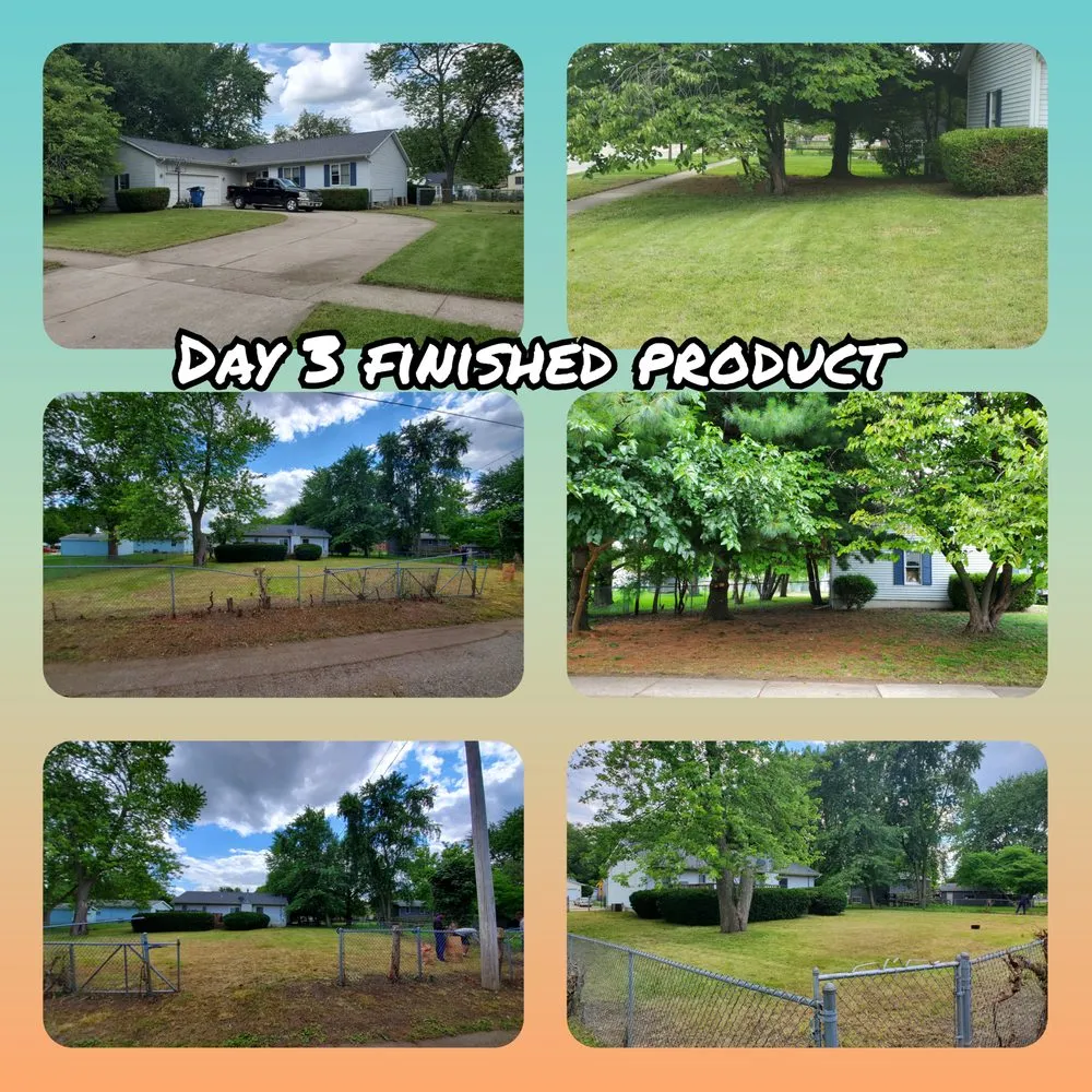 Top-rated landscape installation for homes across Springfield, IL - Triple D Lawn Care Services