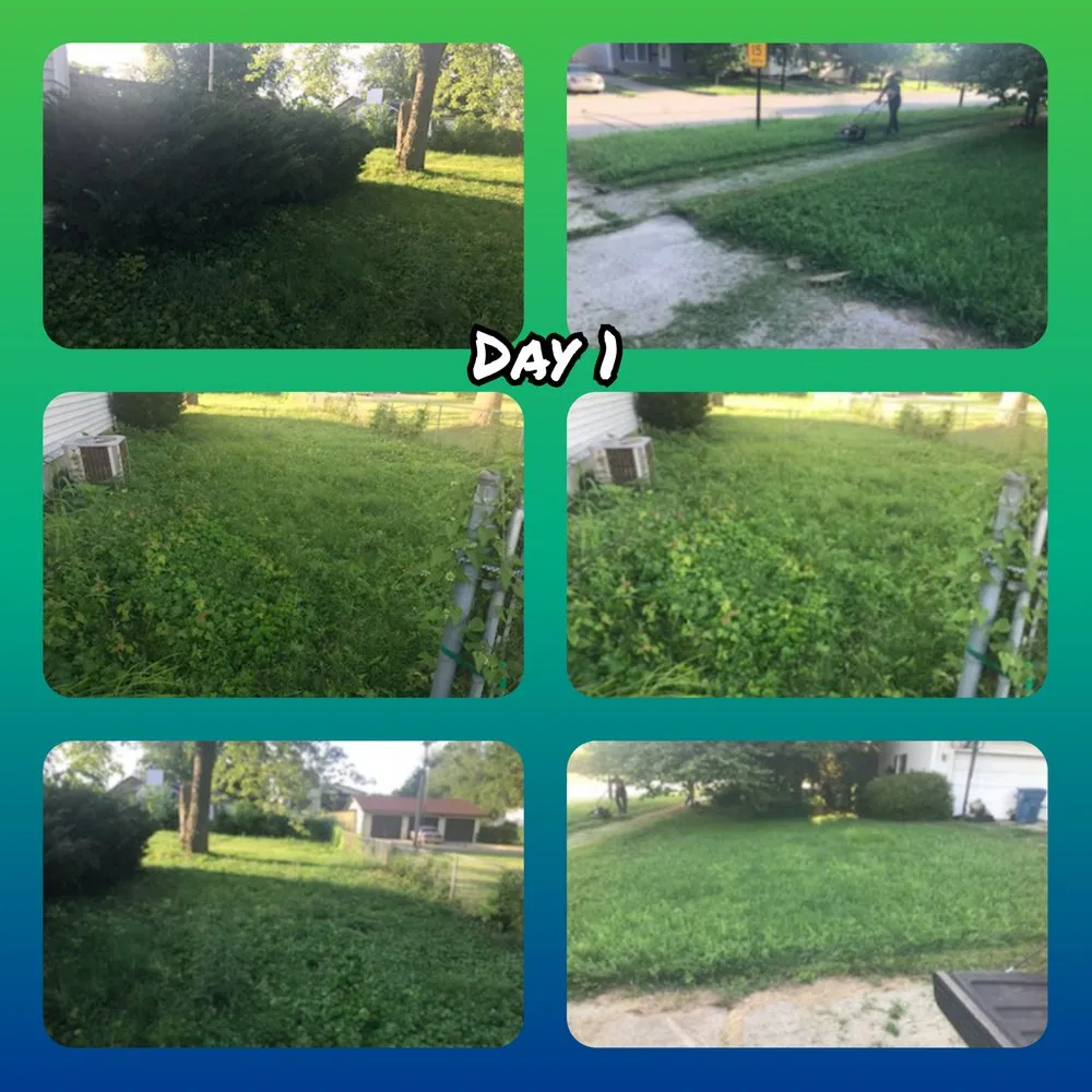 Reliable lawn mowing service for outdoor upgrades across Springfield, IL - Triple D Lawn Care Services