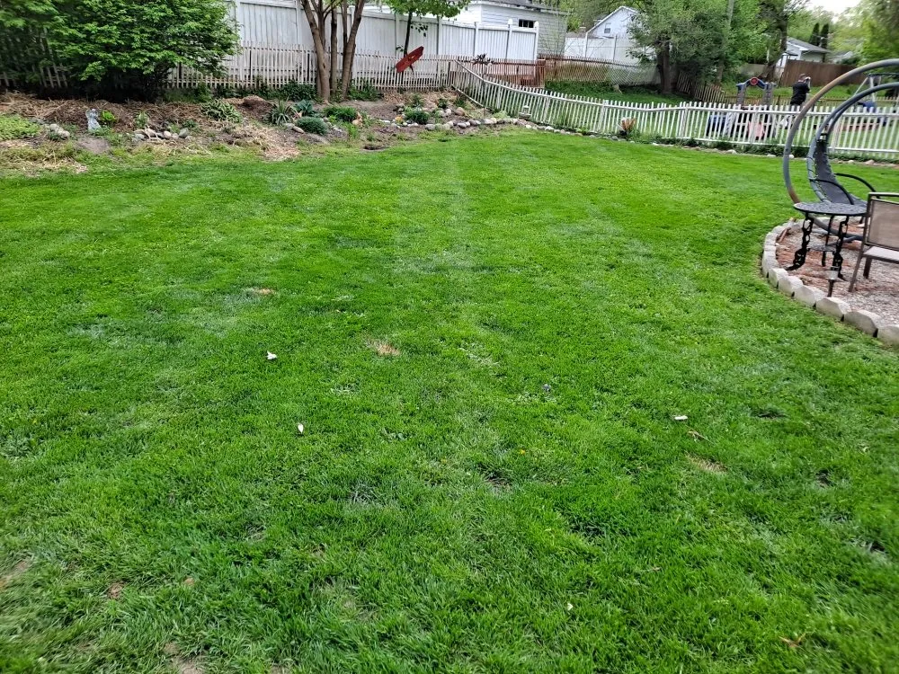 Local lawn mowing service with custom design in Flat Rock, MI by Triple D Lawncare & Snow Removal
