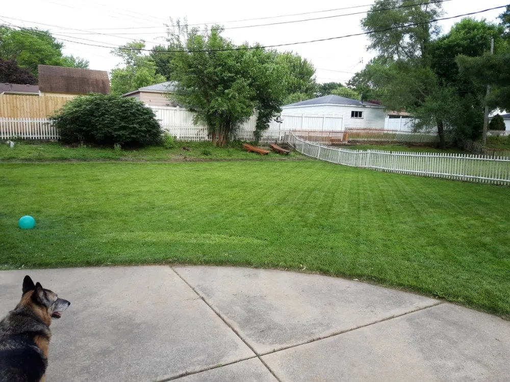 Top-rated garden landscaping for outdoor upgrades in Flat Rock, MI by Triple D Lawncare & Snow Removal