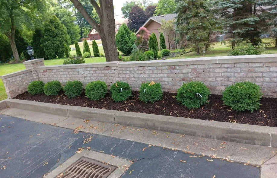 Professional residential landscaping in Boardman, OH - Triple D Lawncare