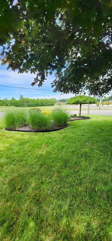 Reliable yard cleanup service for year-round maintenance across Boardman, OH - Triple D Lawncare