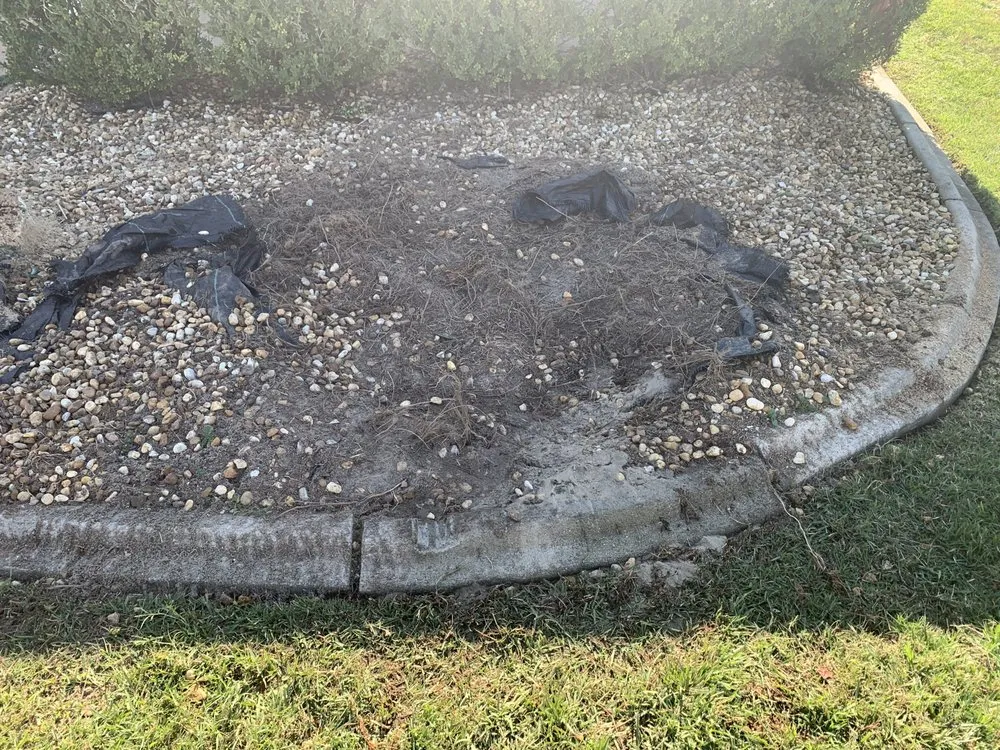 Affordable residential landscaping in Umatilla, FL - Triple D Services