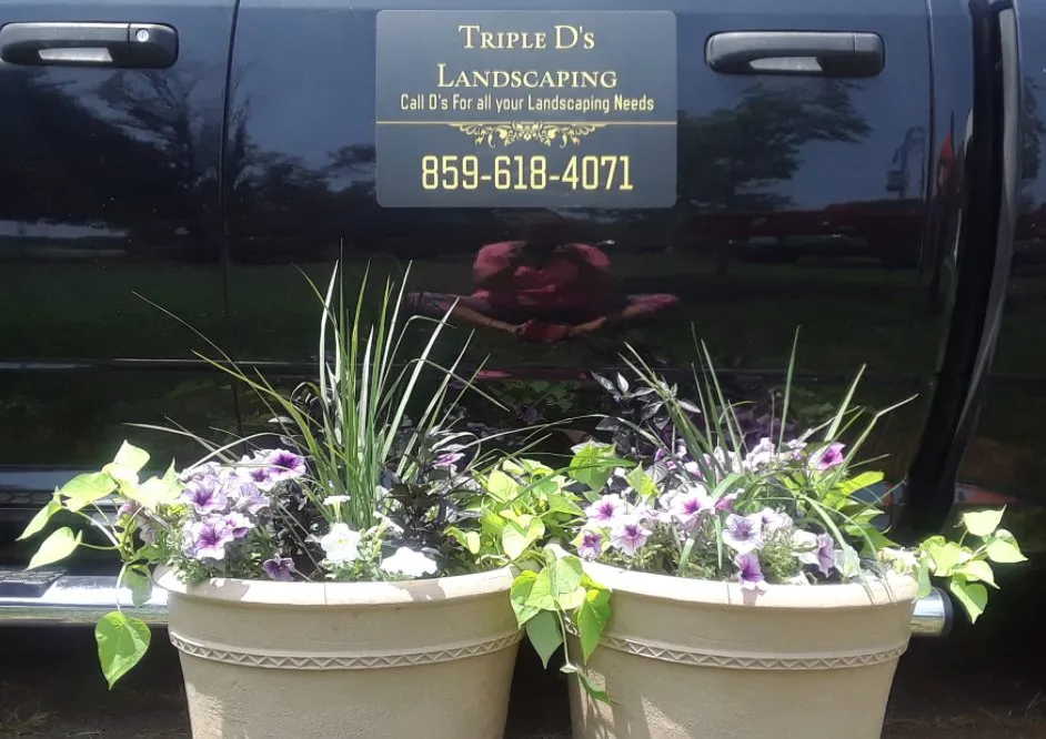 Local outdoor landscaping for beautiful yards in Lexington, KY by Triple D’s Landscaping