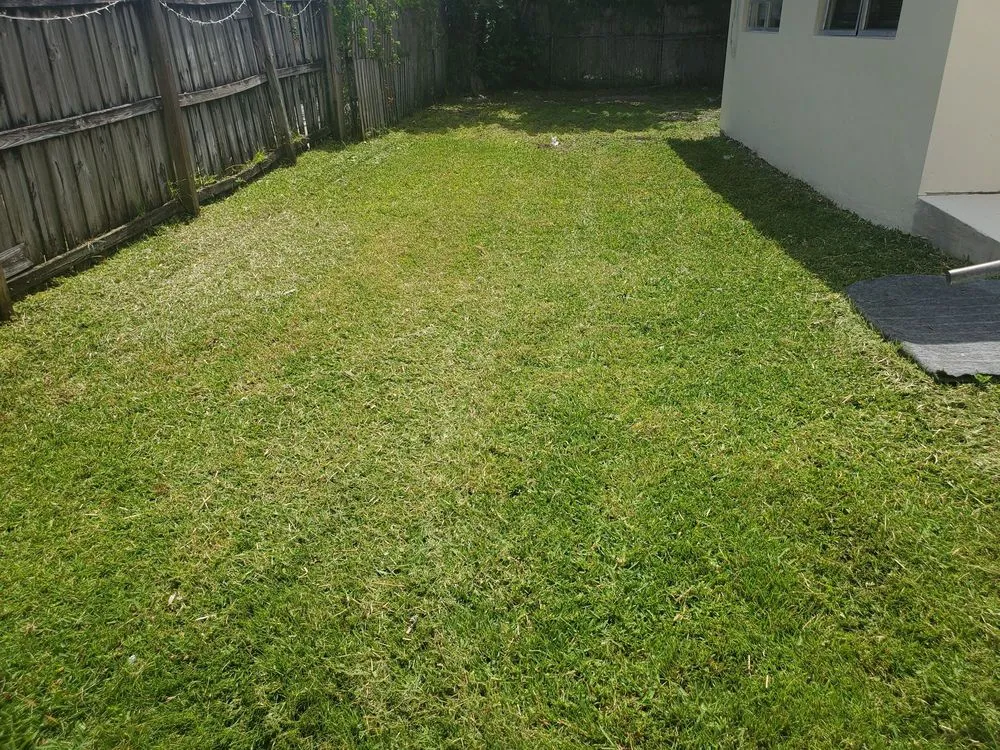 Expert lawn mowing service in Fort Lauderdale, FL by Triple D's Lawn and Handyman