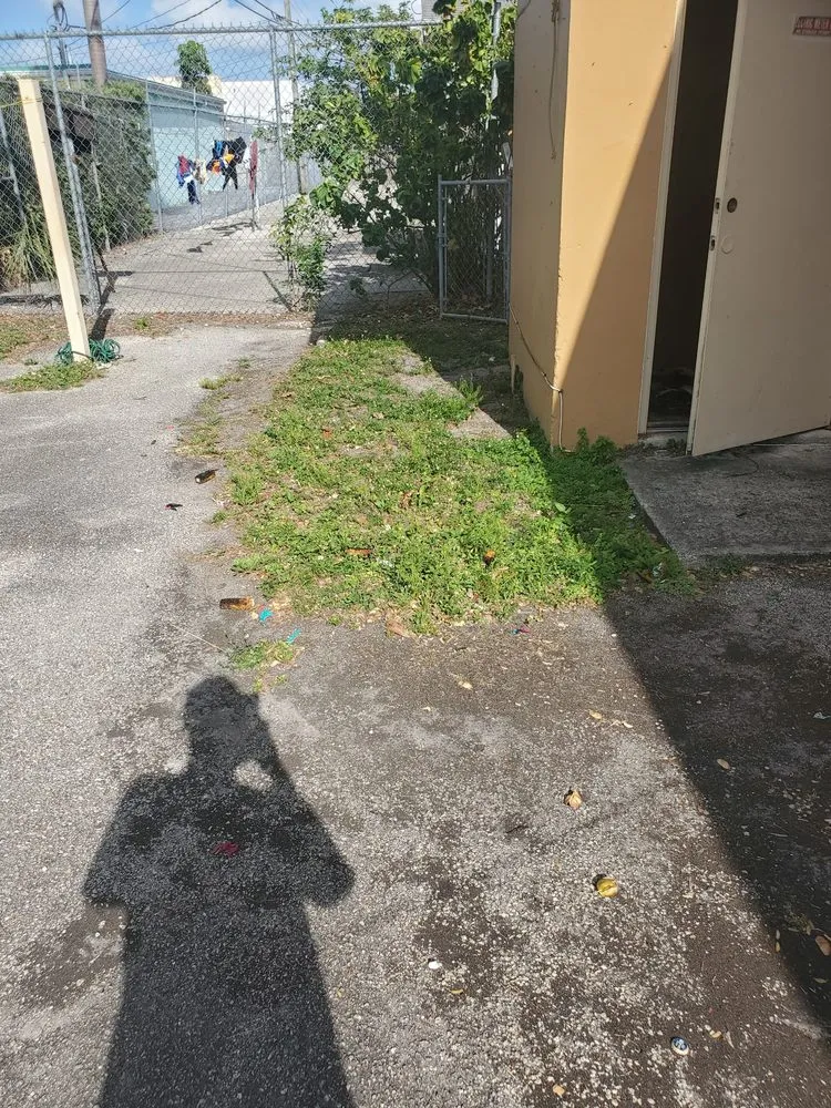 Trusted residential landscaping for residential properties across Fort Lauderdale, FL - Triple D's Lawn and Handyman