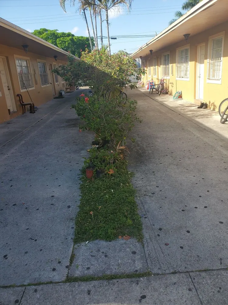 Custom lawn care service experts serving Fort Lauderdale, FL - Triple D's Lawn and Handyman