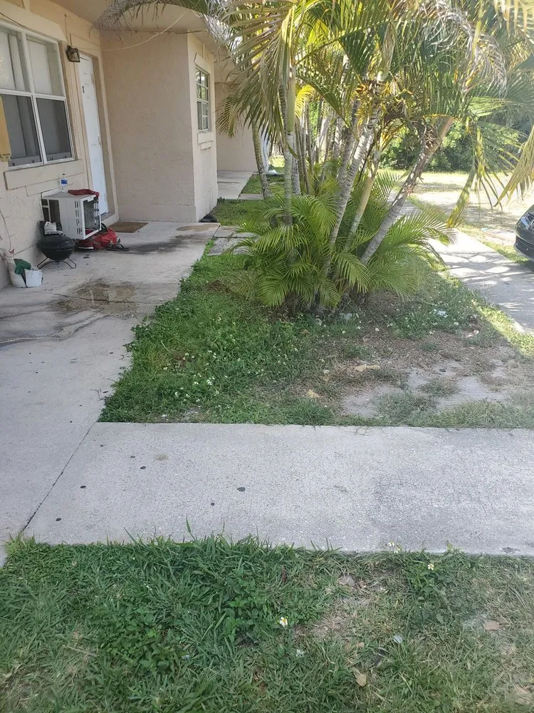 Trusted landscaping services experts serving Fort Lauderdale, FL - Triple D's Lawn and Handyman