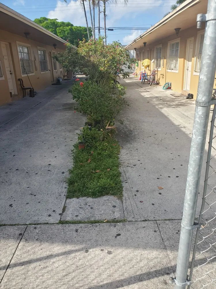 Reliable outdoor landscaping for beautiful yards in Fort Lauderdale, FL by Triple D's Lawn and Handyman