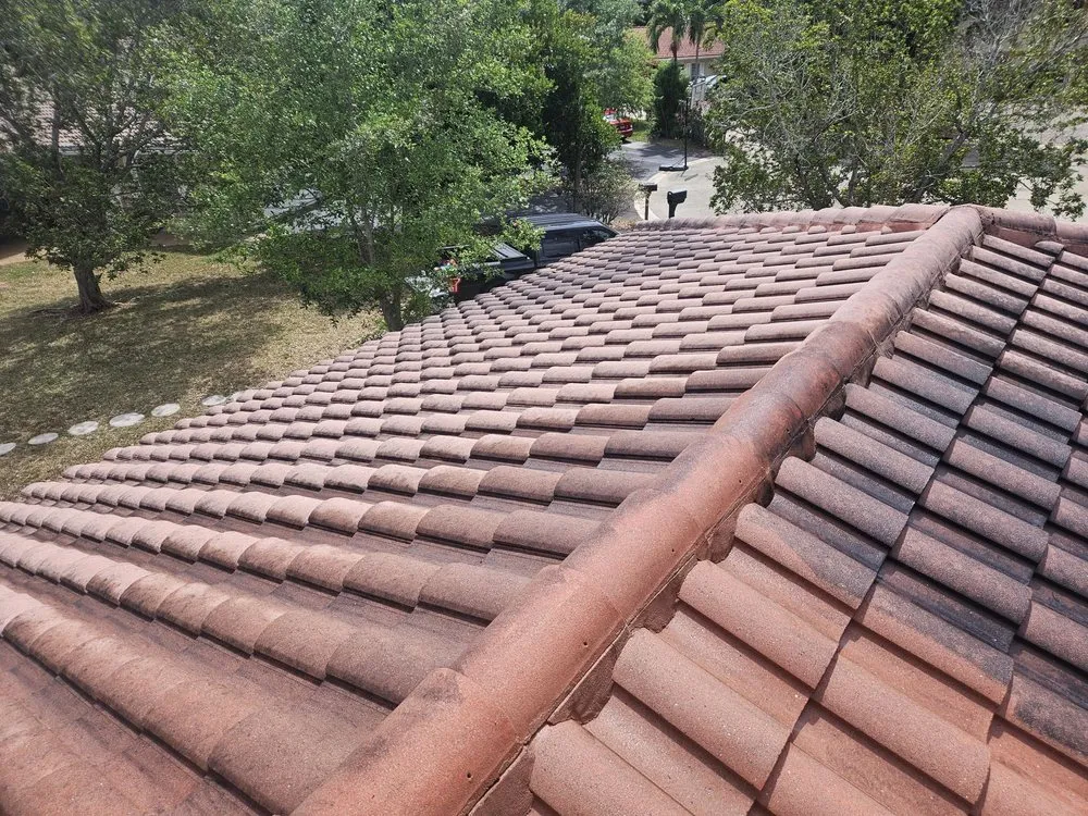 Expert garden landscaping experts serving Fort Lauderdale, FL - Triple D's Lawn and Handyman