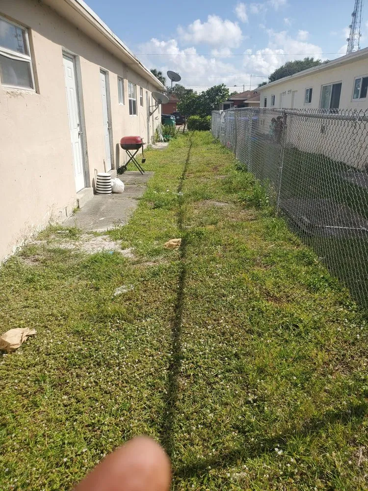 Professional landscaping services in Fort Lauderdale, FL - Triple D's Lawn and Handyman