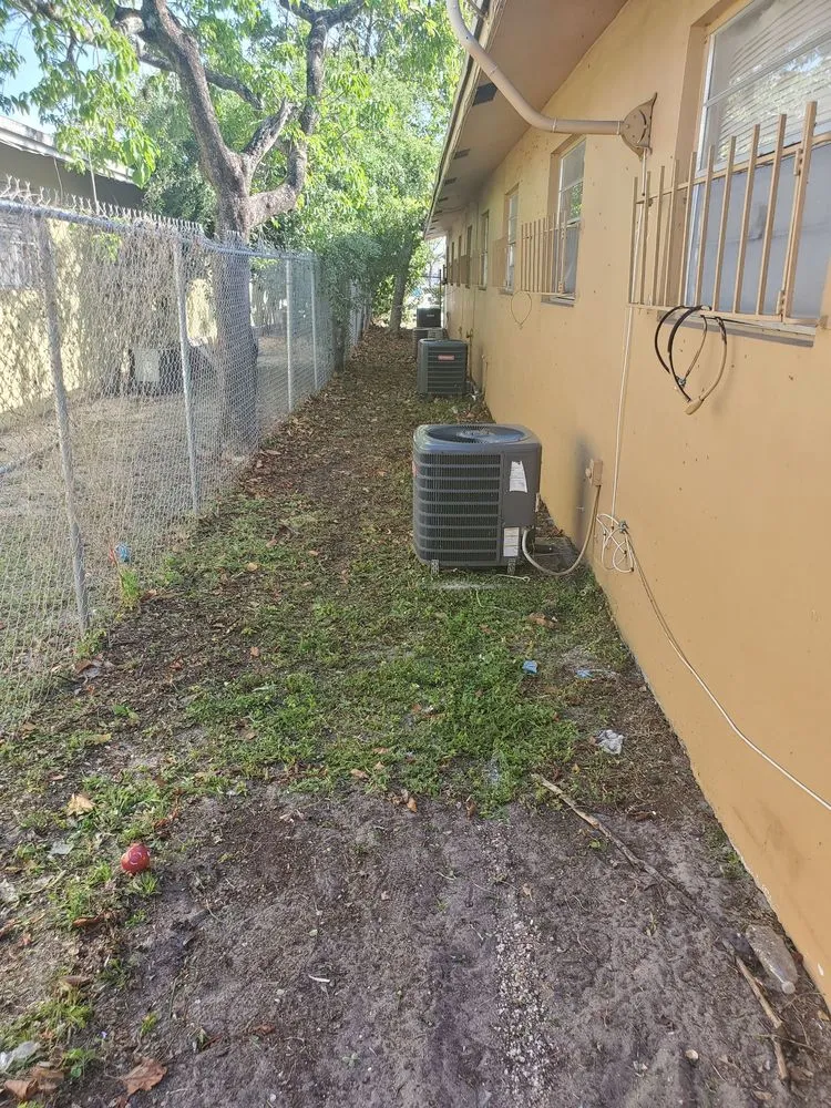 Trusted yard cleanup service experts serving Fort Lauderdale, FL - Triple D's Lawn and Handyman