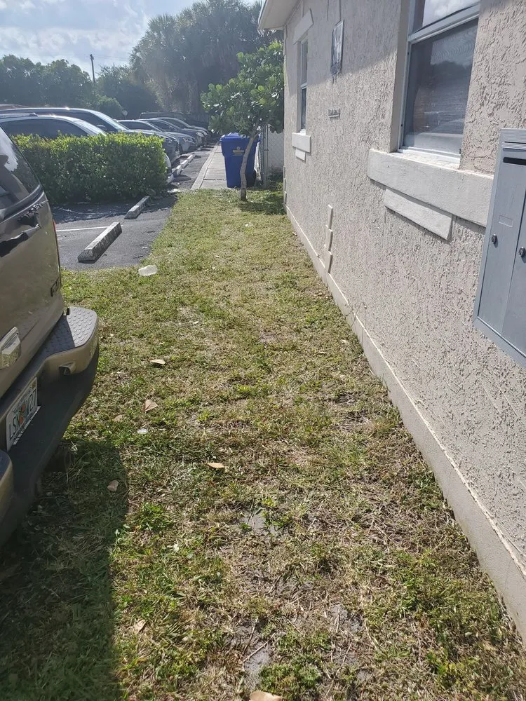 Reliable outdoor landscaping for residential properties across Fort Lauderdale, FL - Triple D's Lawn and Handyman