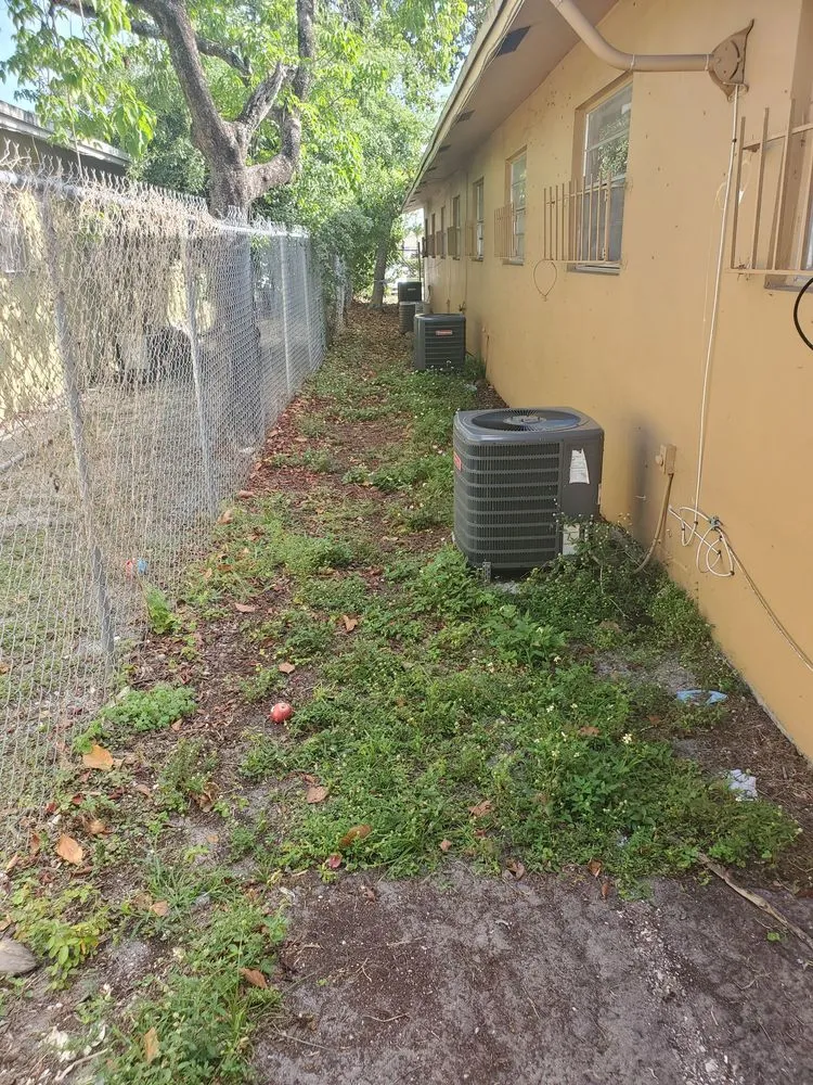 Expert landscaping services for beautiful yards across Fort Lauderdale, FL - Triple D's Lawn and Handyman