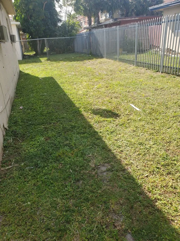 Expert yard maintenance experts serving Fort Lauderdale, FL - Triple D's Lawn and Handyman