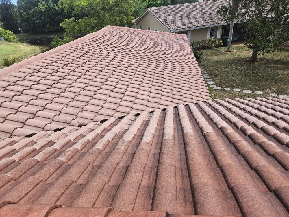 Trusted landscaping services with custom design across Fort Lauderdale, FL - Triple D's Lawn and Handyman